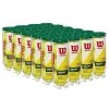 Wilson Championship Regular Duty Tennis Balls - 24 Can Case -Boutique Ball Sports Store 81tkkfAHtRL. AC SL1500