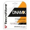Tecnifibre DNAMX 18 Squash String (Black) -Boutique Ball Sports Store Tecnifibre DNAMX 18 958d5e87 4236 4845 9acc e7d9d1f2b190