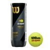Wilson US Open Extra Duty Tennis Balls -Boutique Ball Sports Store US Open Official Extra Duty 3ball Can Front LOGO 5135b62b bfd1 4074 9182 f51b33156923