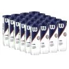 Wilson Roland Garros All Court Tennis Balls - 24 Can Case -Boutique Ball Sports Store WILSON ALLCOURT WRT129100