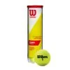 Wilson Championship Extra Duty Tennis Balls (4 Ball Can)