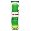 Wilson Starter Play Green Dot Junior Tennis Balls (4 Ball Can) -Boutique Ball Sports Store WRT137400 0 Starter Green 4Ball Can.png.cq5dam.web .1200.1200