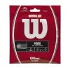 Wilson Natural Gut 17/1.25 Tennis String (Natural) -Boutique Ball Sports Store WRZ999900 Natural Gut 17 PKG